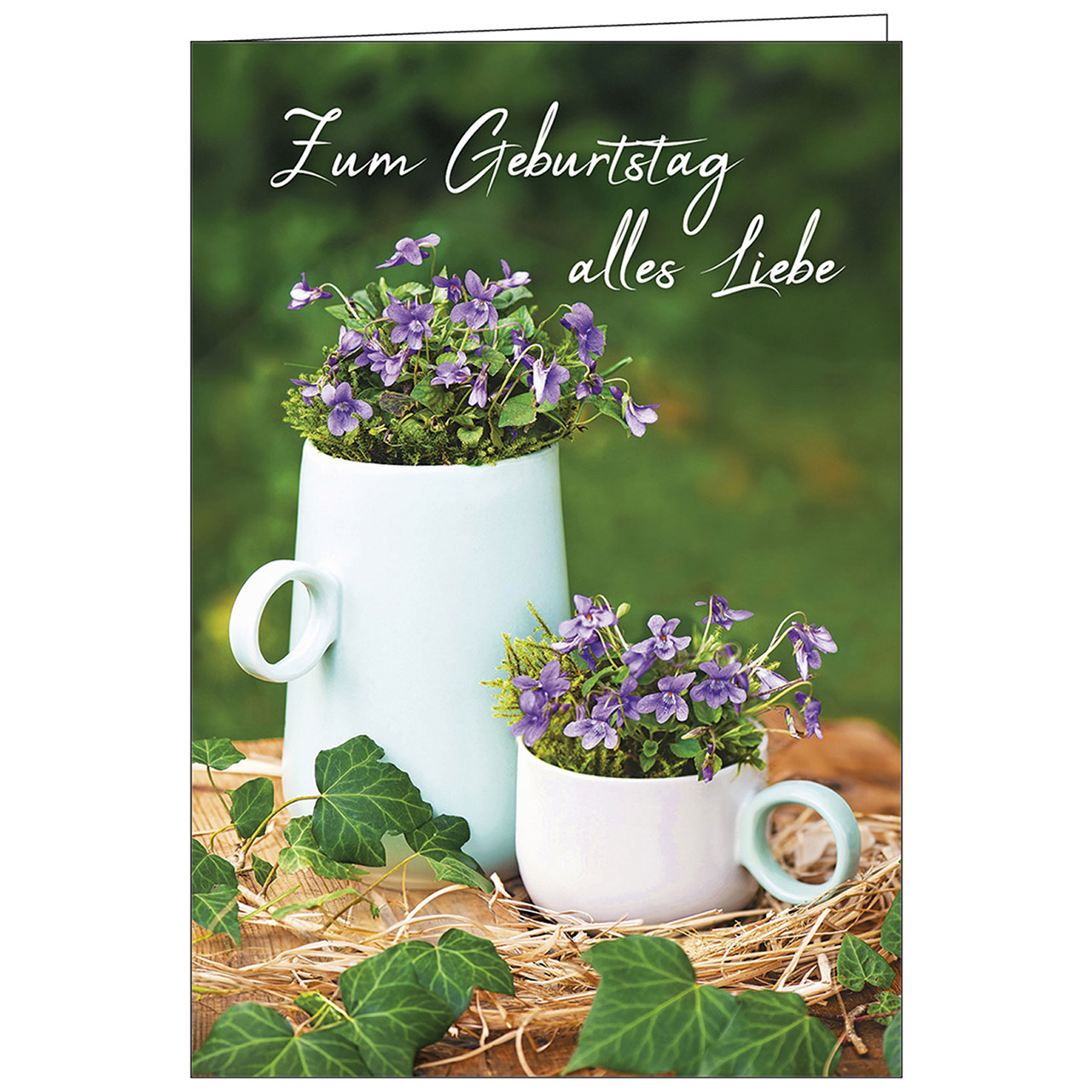 Zum Geburtstag alles Liebe Faltkarte - Zum Geburtstag alles Liebe - Veilchen Kanne Tasse Efeu Stroh