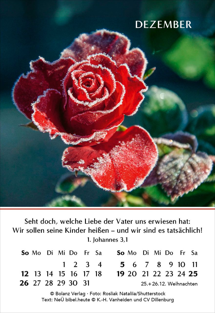 Aufstellkalender - Ein Jahr der Freude 2027