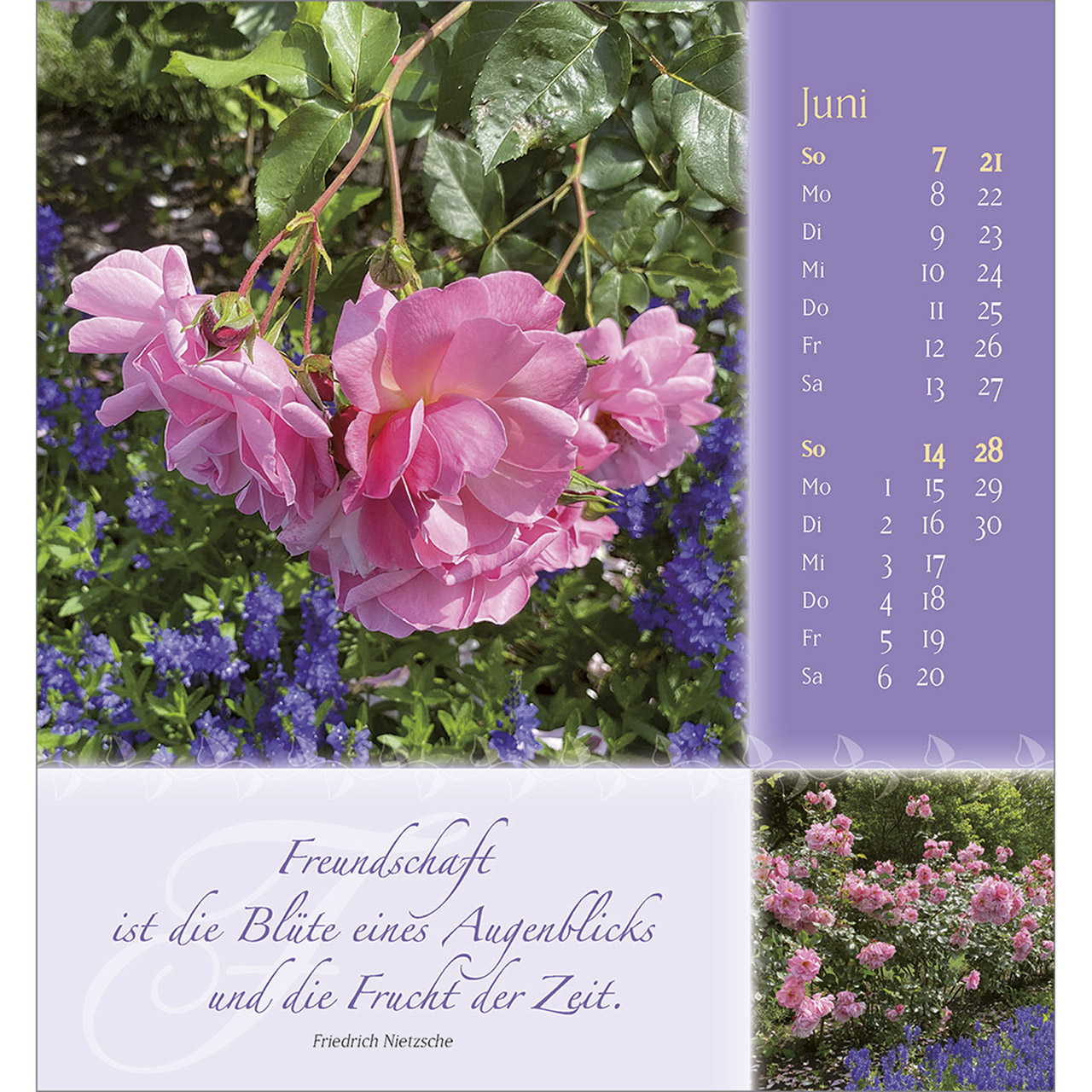 Tischkalender - Rosenduft mit besten Wünschen 2026