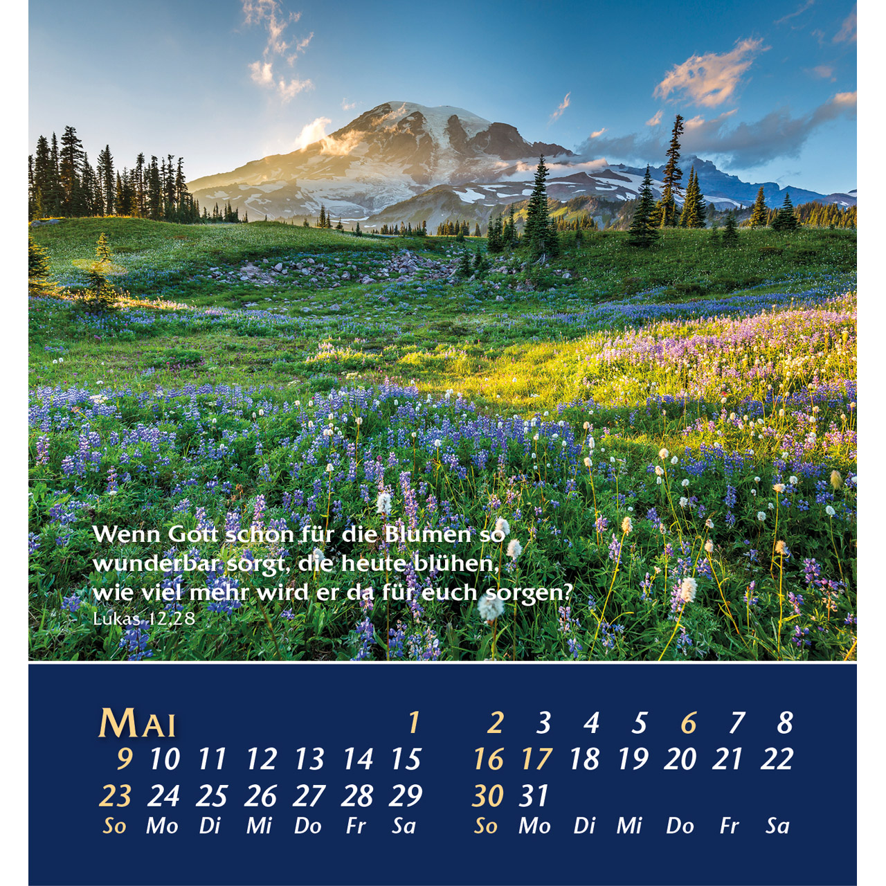 Aufstellkalender - Aus der Stille leben 2027