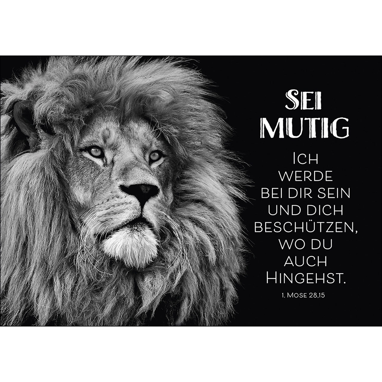 Sei mutig, ich werde bei dir sein ... Sei mutig, ich werde bei dir sein ...
