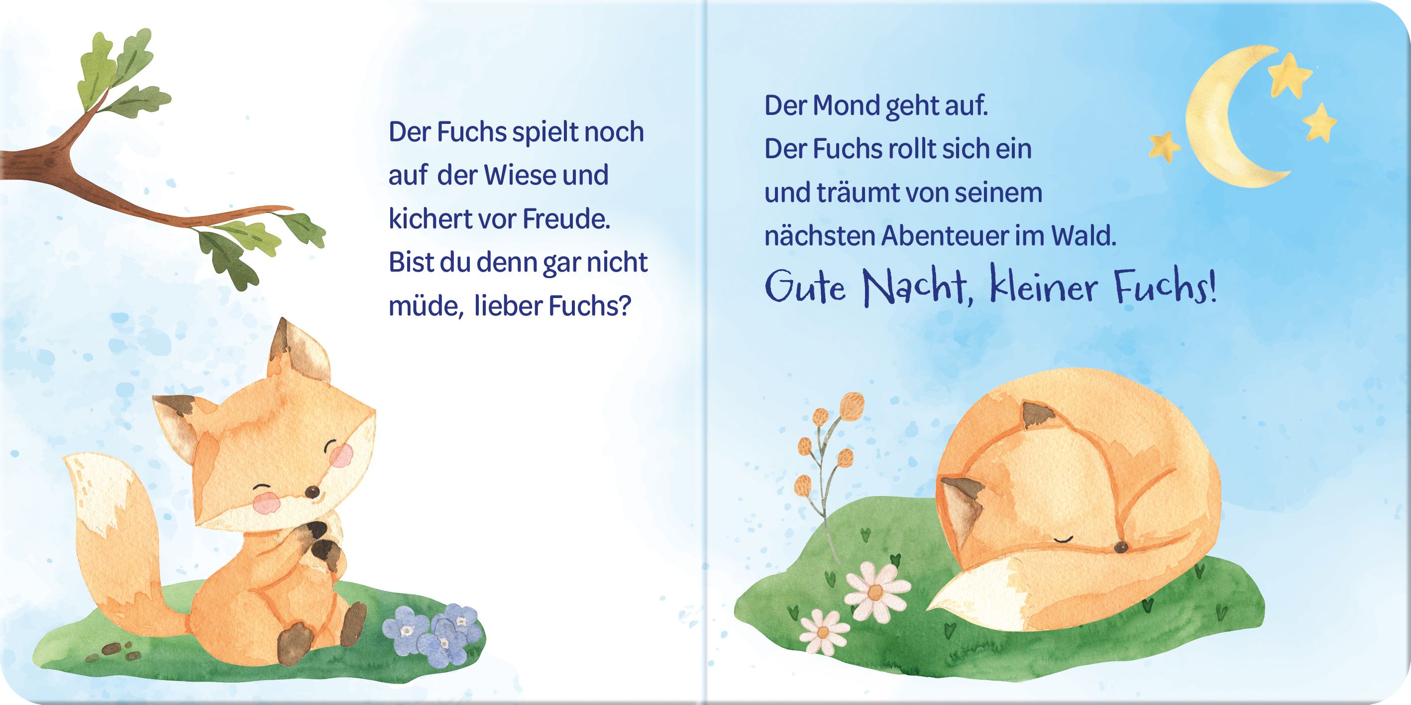 Buch - Ich sag Gute Nacht