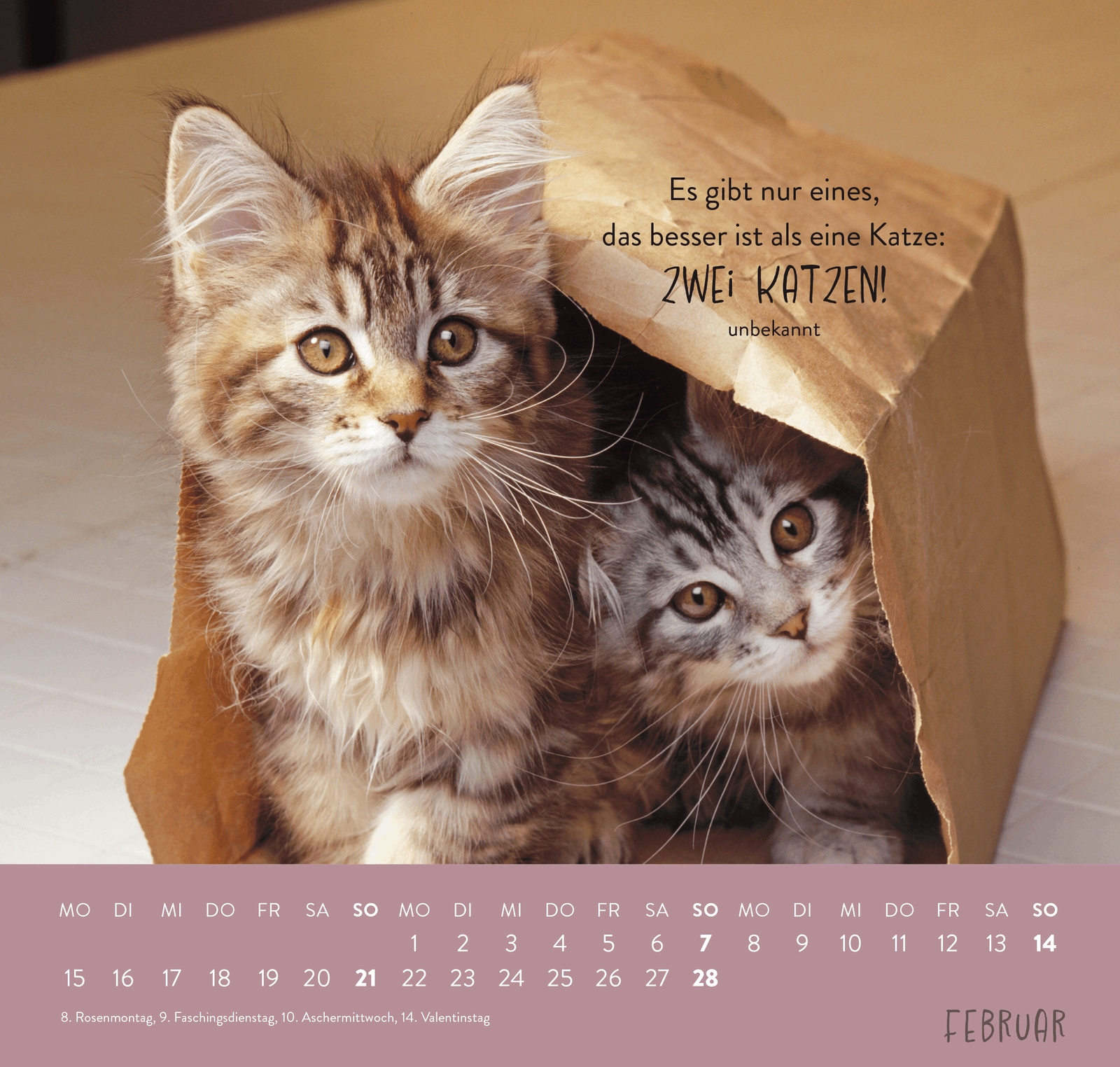 Wandkalender - Für Katzenfreunde 2027