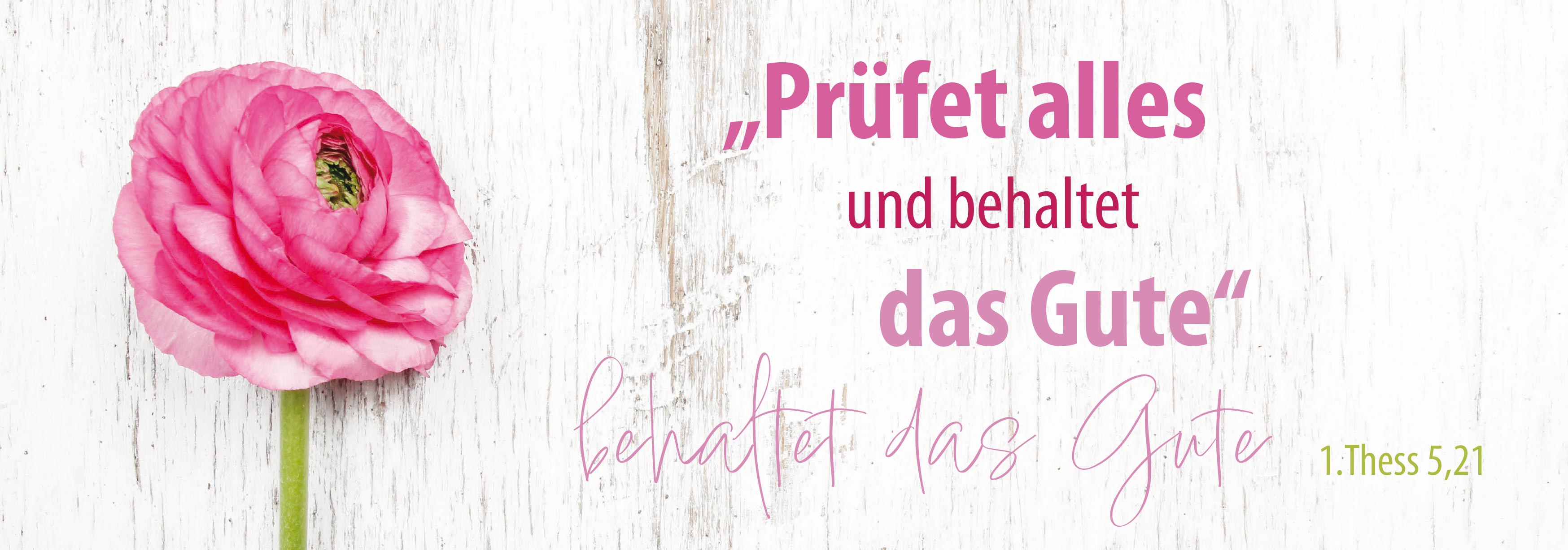 Lesezeichen 10 Ex. 'Prüfet alles und behaltet das Gute'     1. Thessalonicher 5,