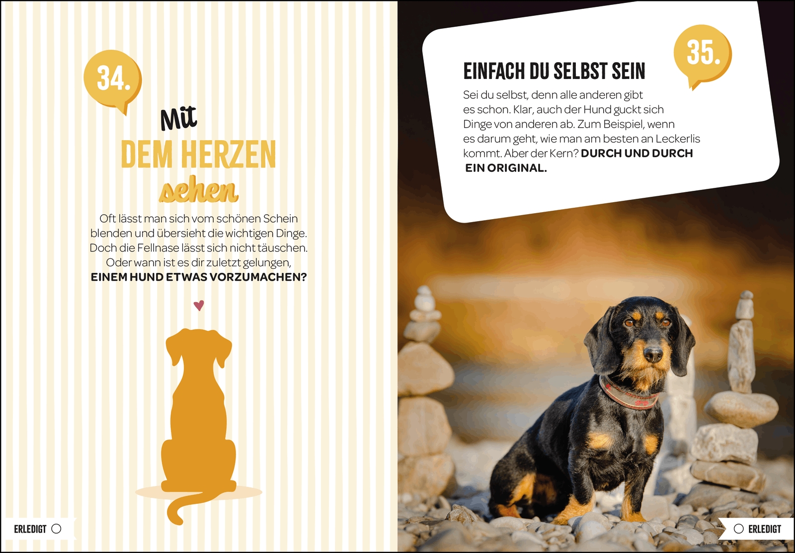 Geschenkbuch - 100 Dinge, die man von einem Hund lernen kann