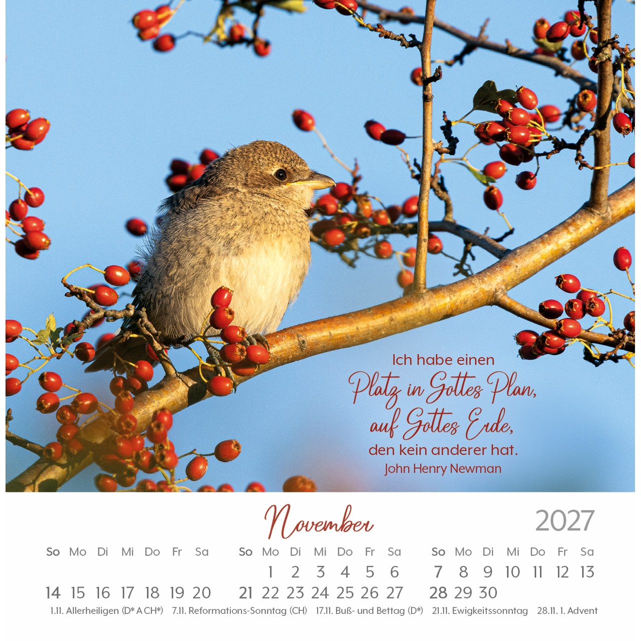 Postkartenkalender - Herzenswünsche 2027