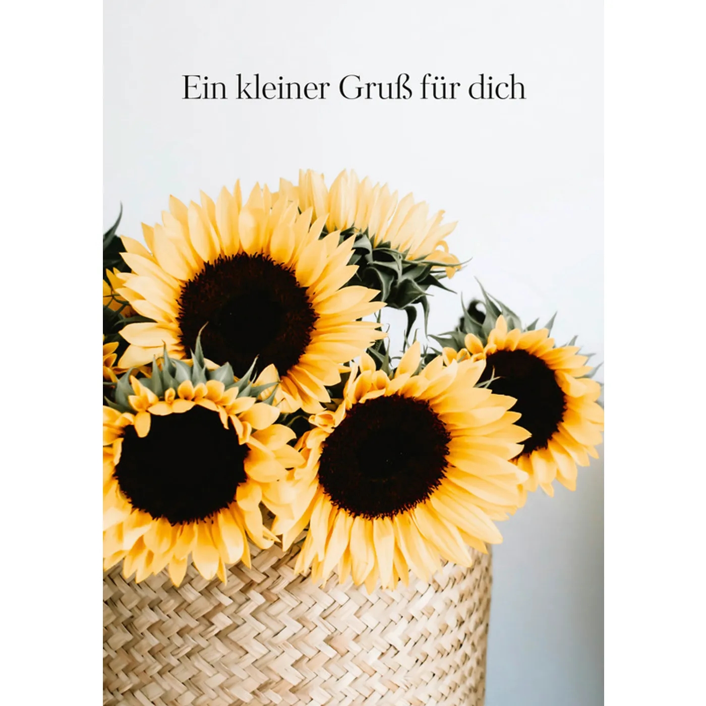 Postkarten - Kleine Grüße, große Freude