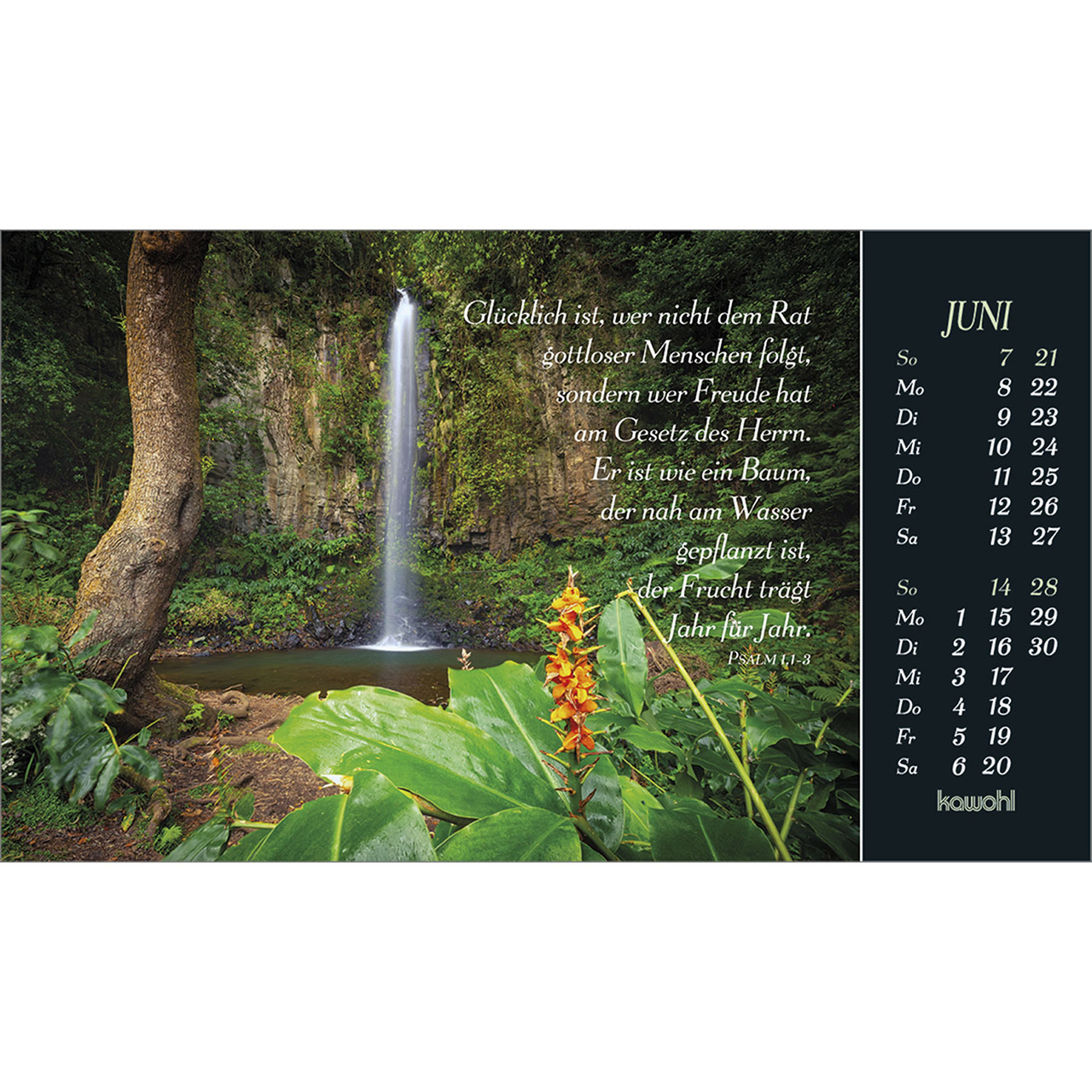 Postkartenkalender - Sehnsucht nach Unendlichkeit 2026