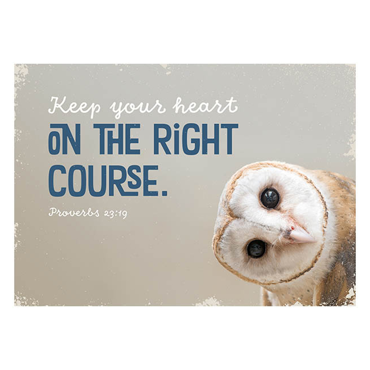 Postkarte - Postkarte 'Keep your heart on the right course. Proverbs 23:19' 1EX - Eule