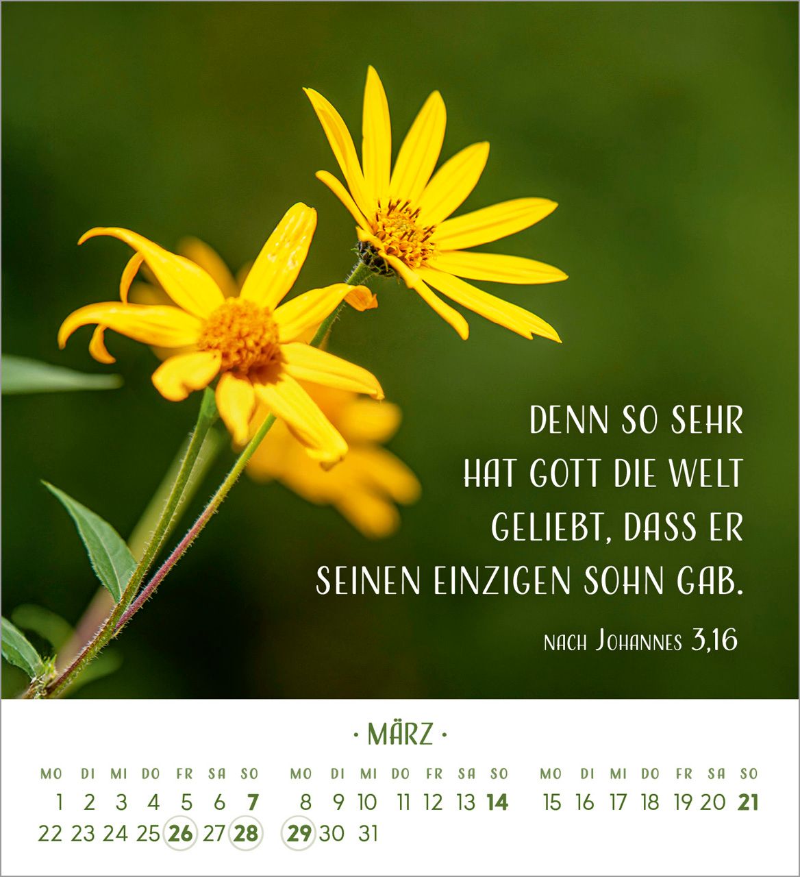 Tischkalender - Zarte Blumengrüße 2027