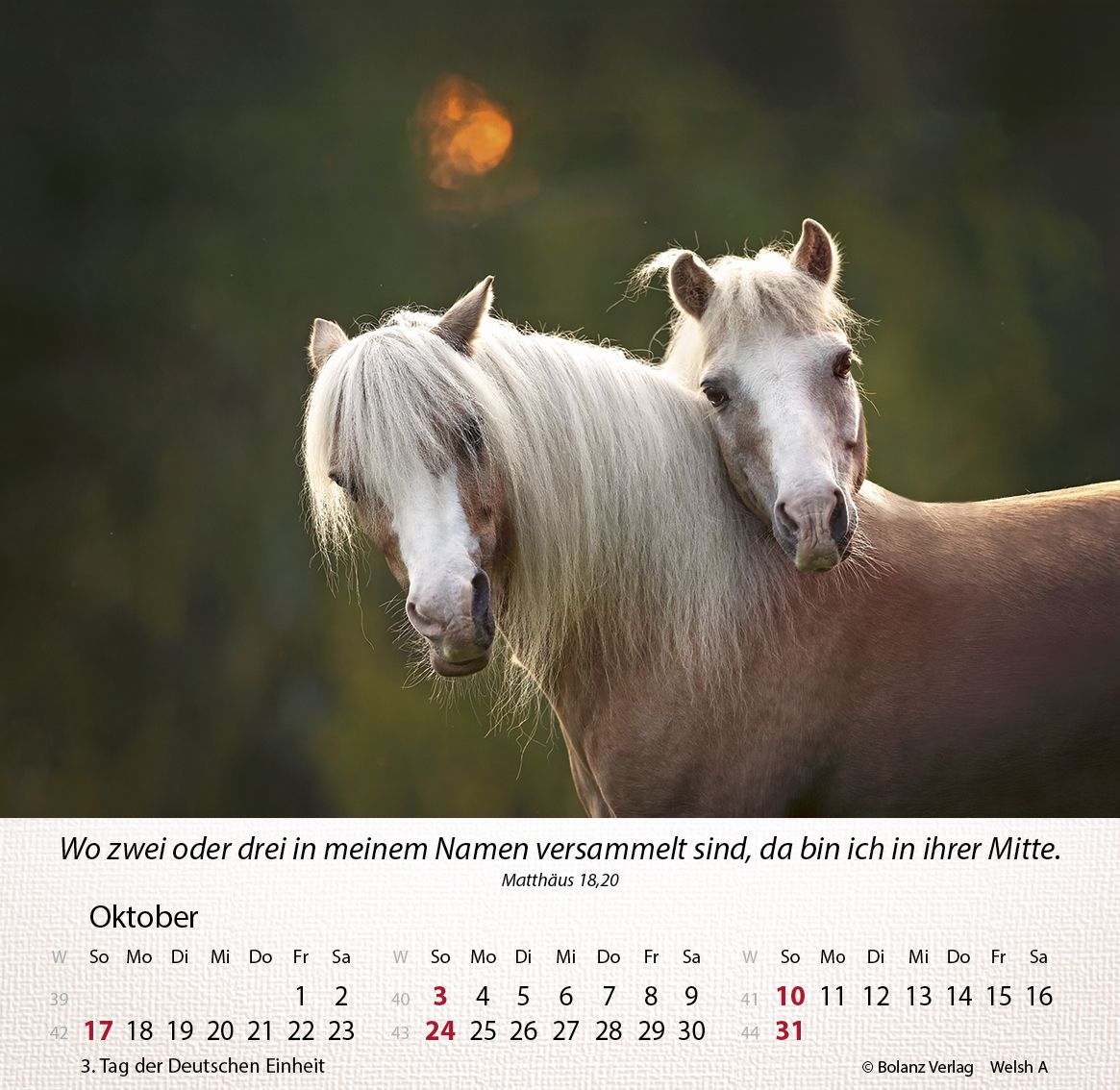 Tischkalender - Pferde 2027 Tischkalender