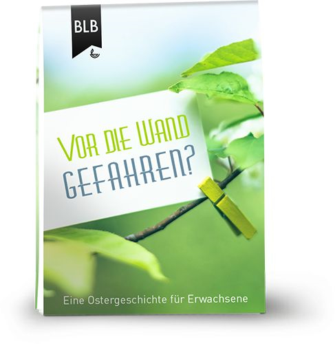 Vor die Wand gefahren?