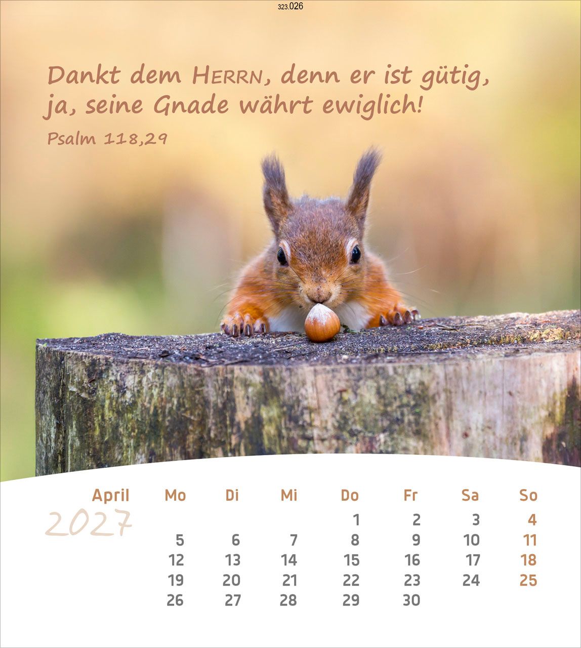 Postkartenkalender - Leben für Dich 2027 - Deutsch