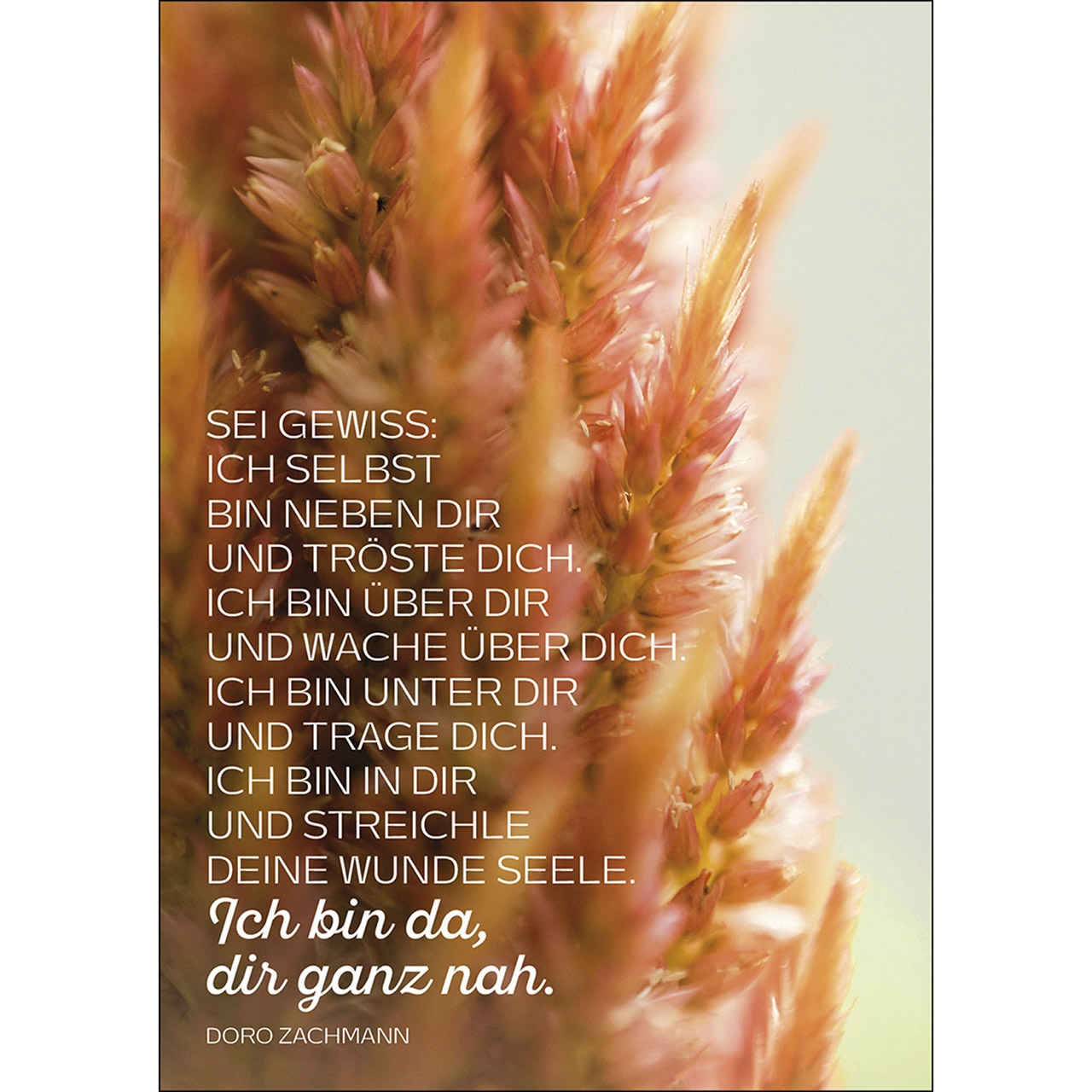 Ich selbst bin neben dir und tröste dich