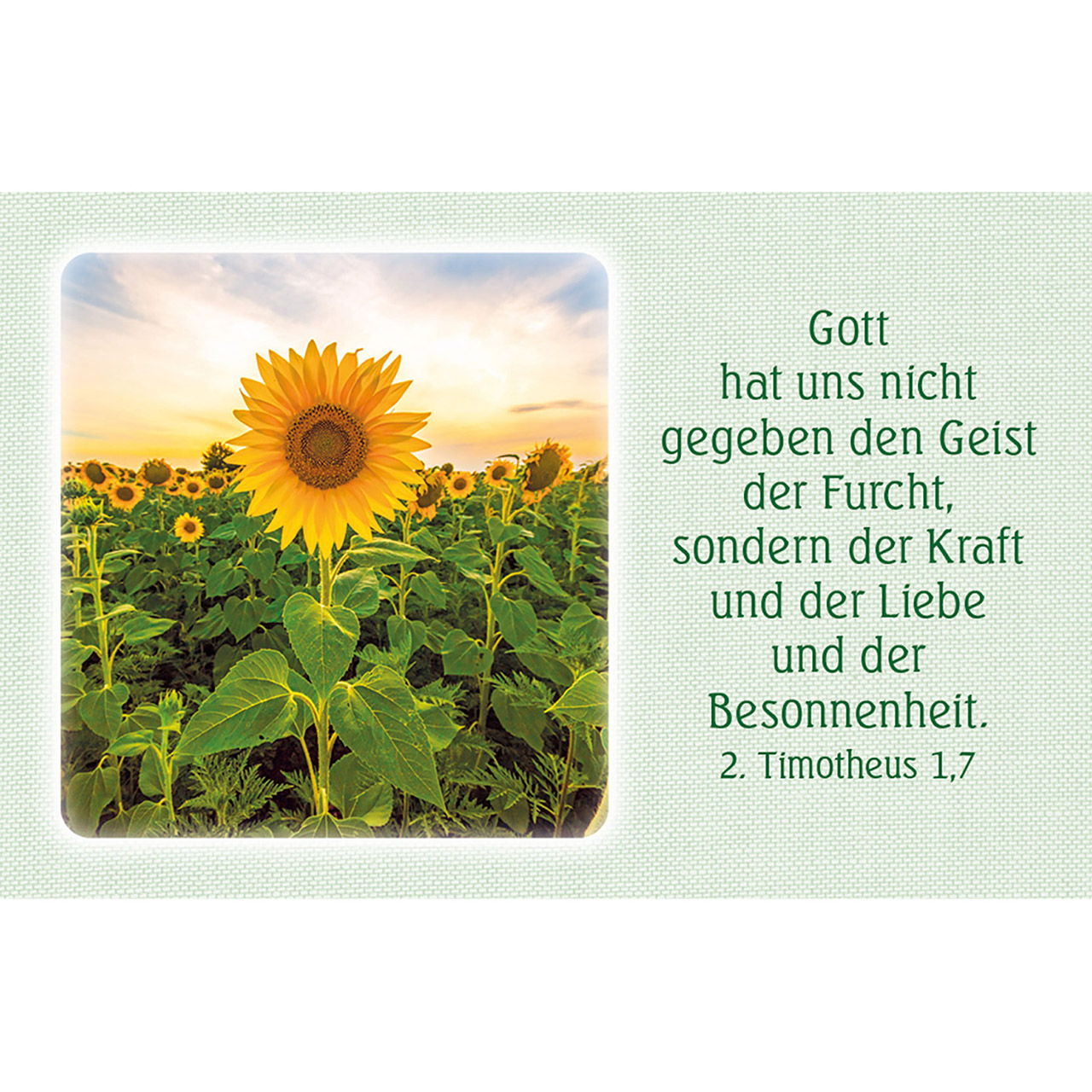 Karten-Box Kunststoff - Trost und Zuversicht - Haus Leuchtturm Küste Felsen Meer