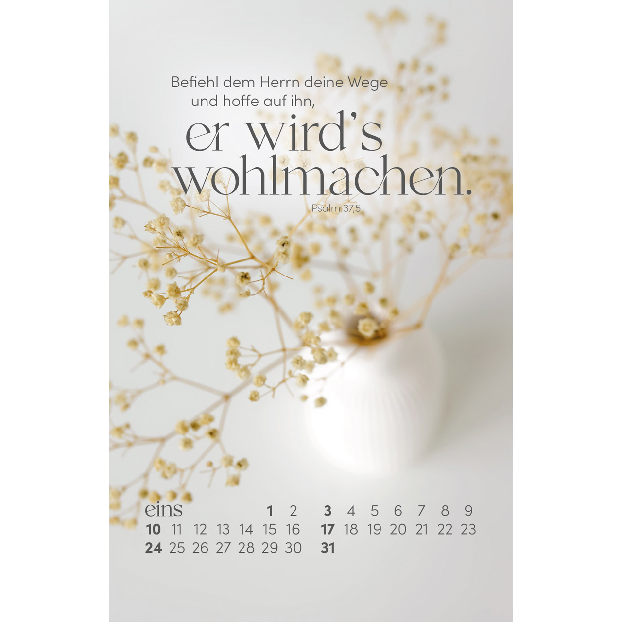 Postkartenkalender - Sein Wort. Dein Fels. 2027