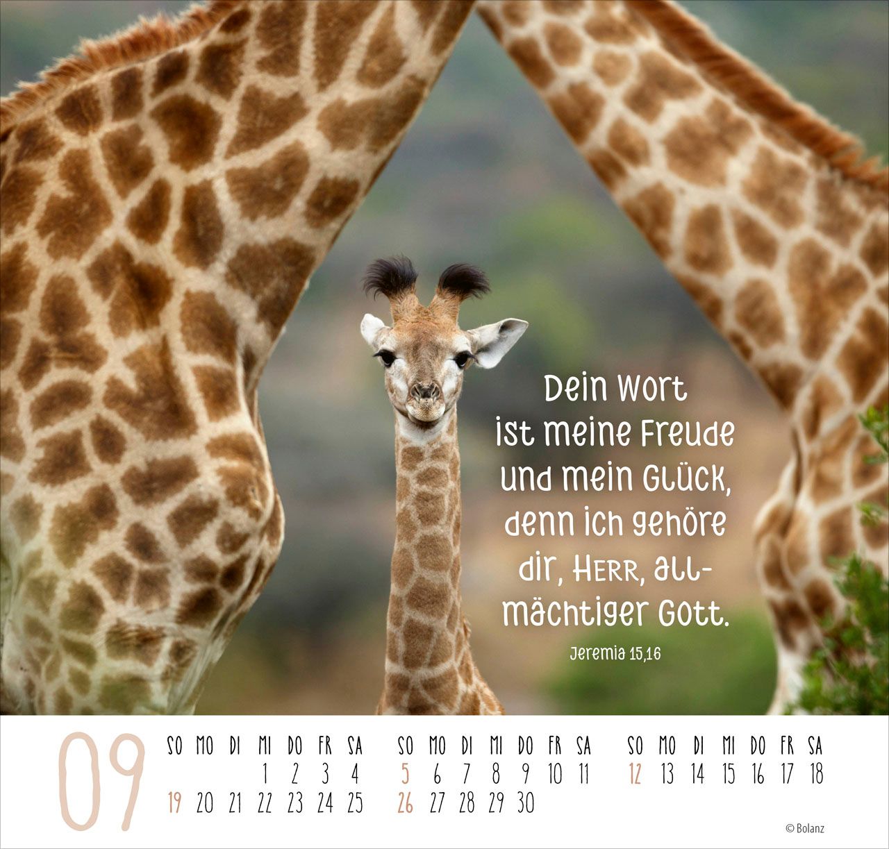Posterkalender - Beste Freunde 2027