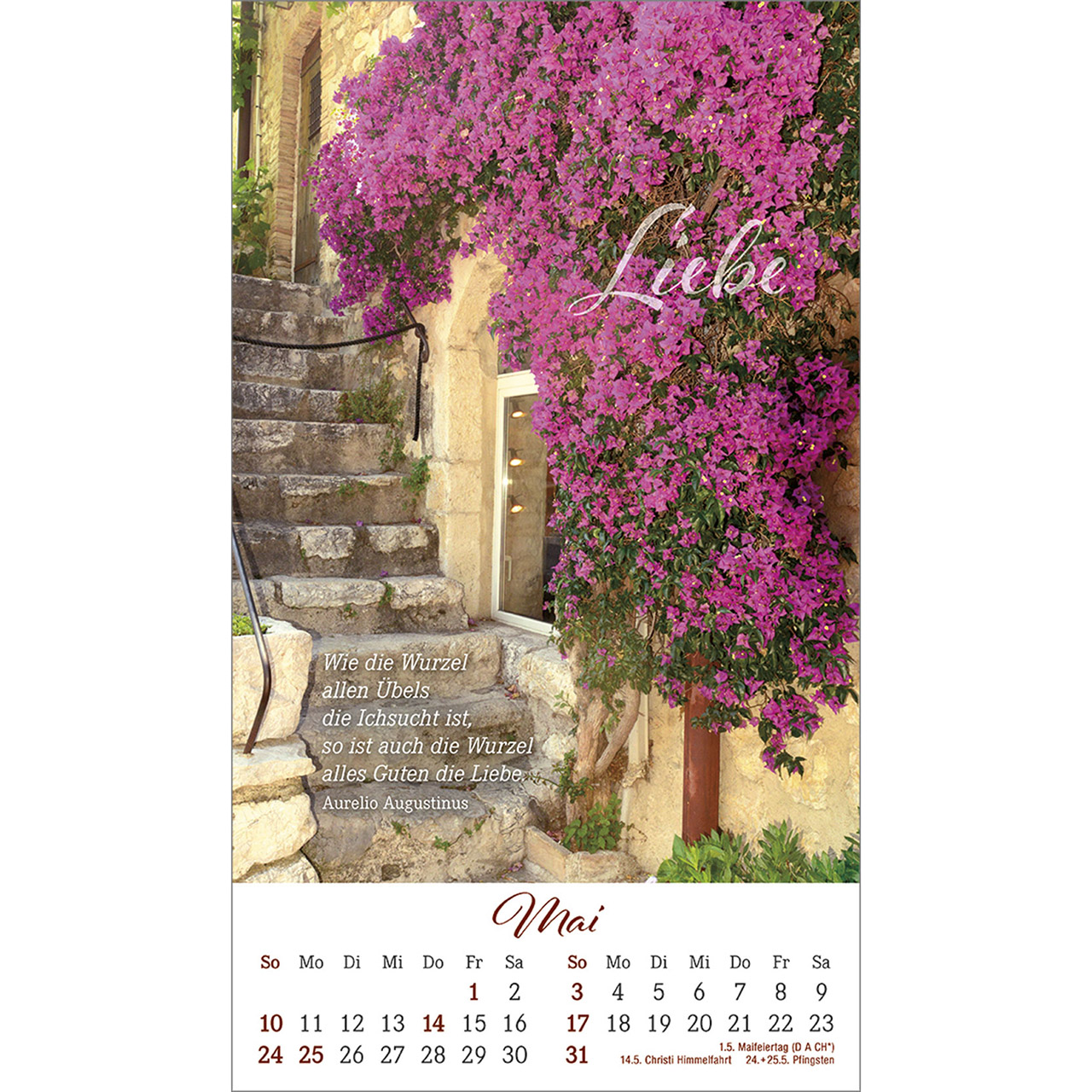 Postkartenkalender - Ein Augenblick für dich 2026