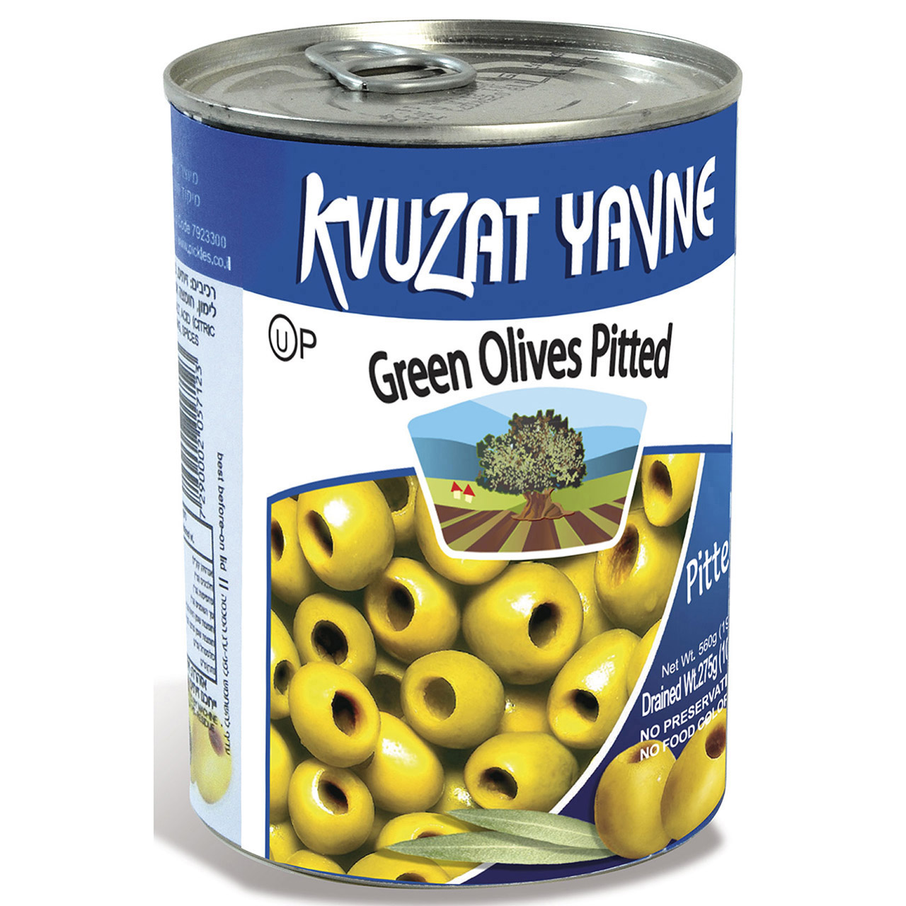 Oliven ohne Kern