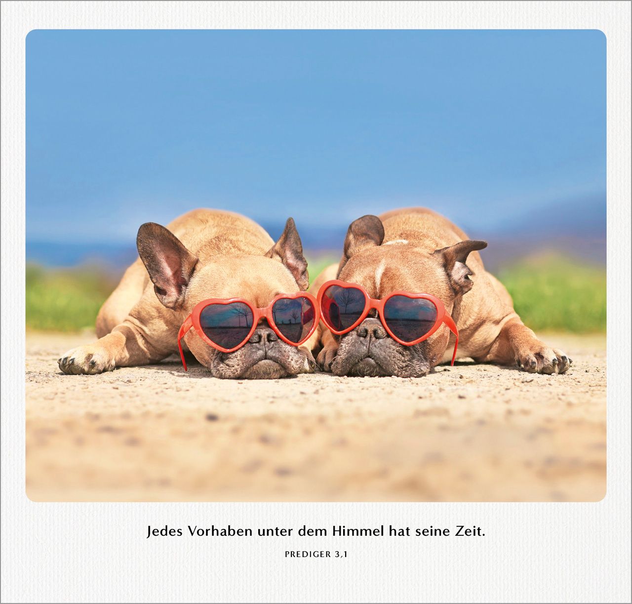 Terminkalender - Familien-Terminplaner 2027