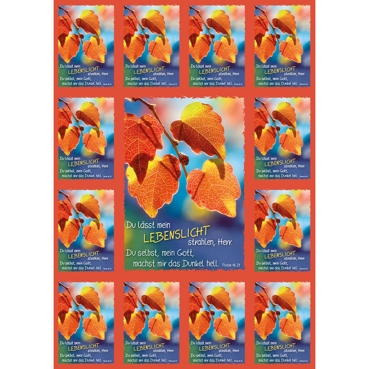 Postkarten-Buch - Für Königskinder - goldene Krone