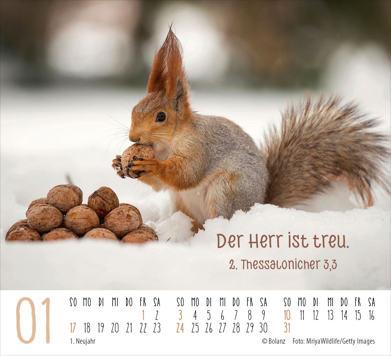 Aufstellkalender - Begegnungen 2027 Minikalender