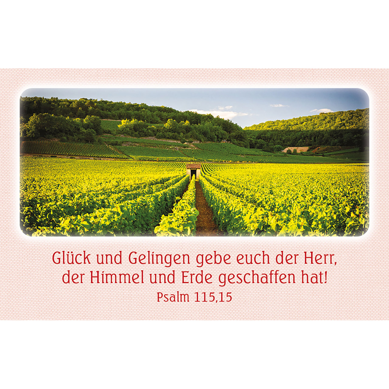 Karten-Box Kunststoff - Segenskarten - Mohnblumen Sonne Himmel