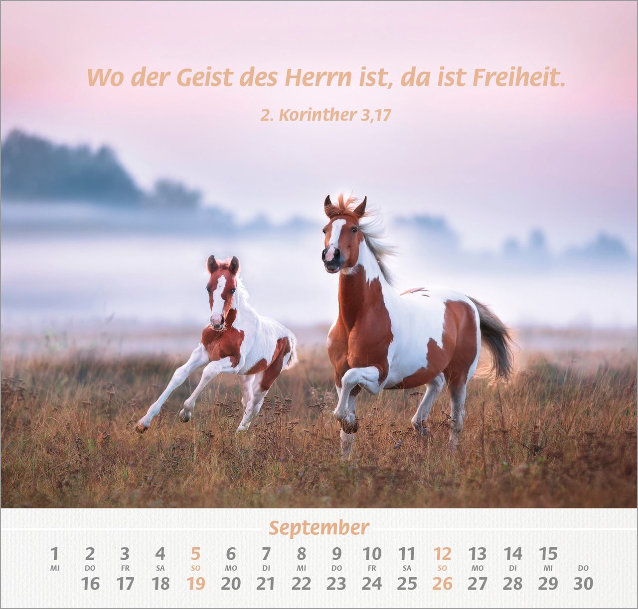 Wandkalender - Ich hab dich gern 2027 Wandkalender