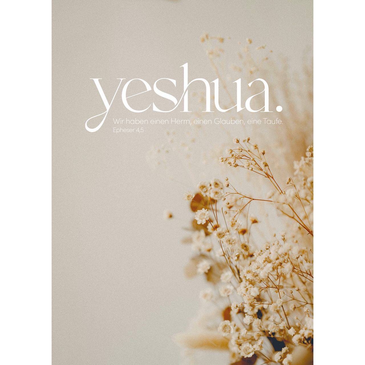 Postkarten - yeshua. - Trockenblumen