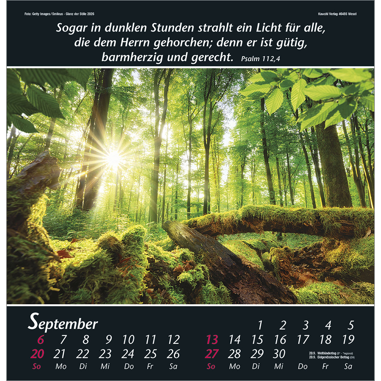 Wandkalender - Glanz der Stille 2026