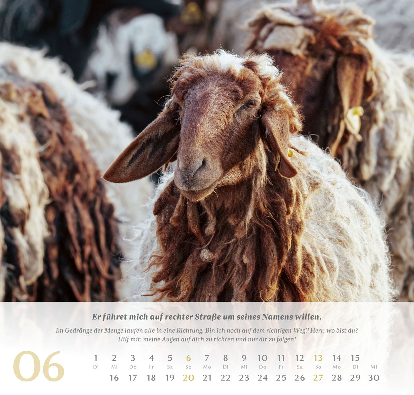 Wandkalender - Psalm 23 2027 Wandkalender