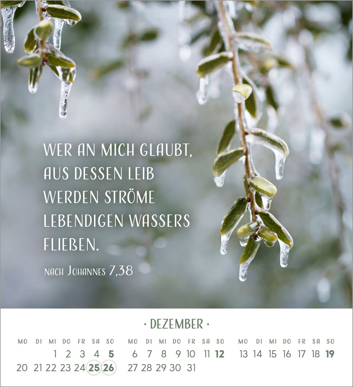 Tischkalender - Zarte Blumengrüße 2027