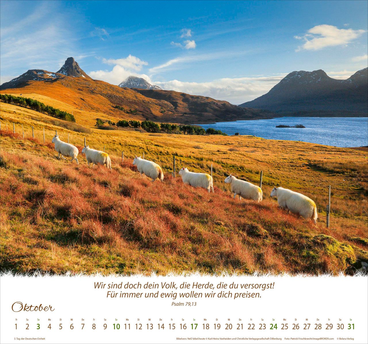Wandkalender - Ein Leben für die Schafe 2027 Wandkalender