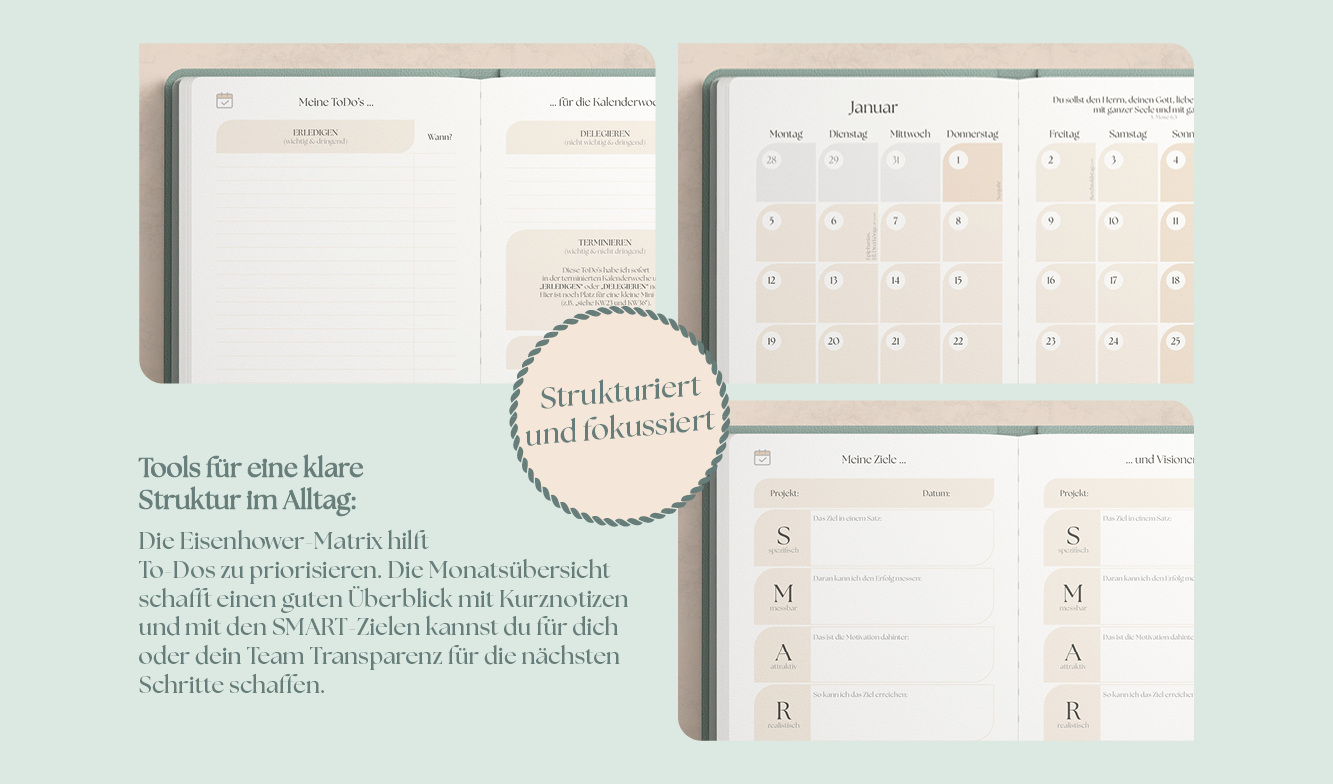 Details zum Produkt
