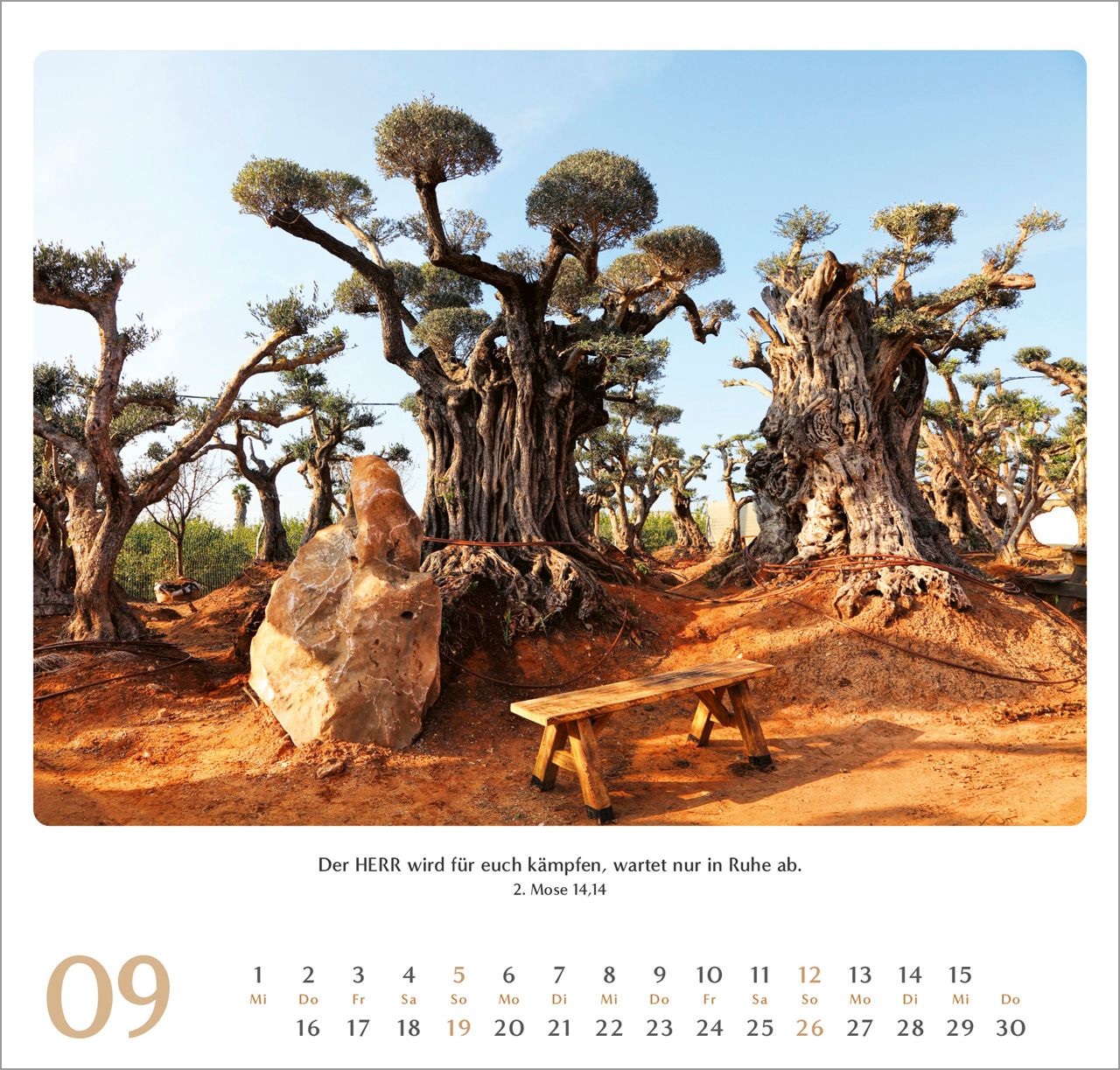 Wandkalender - Geliebtes Israel 2027 Wandkalender