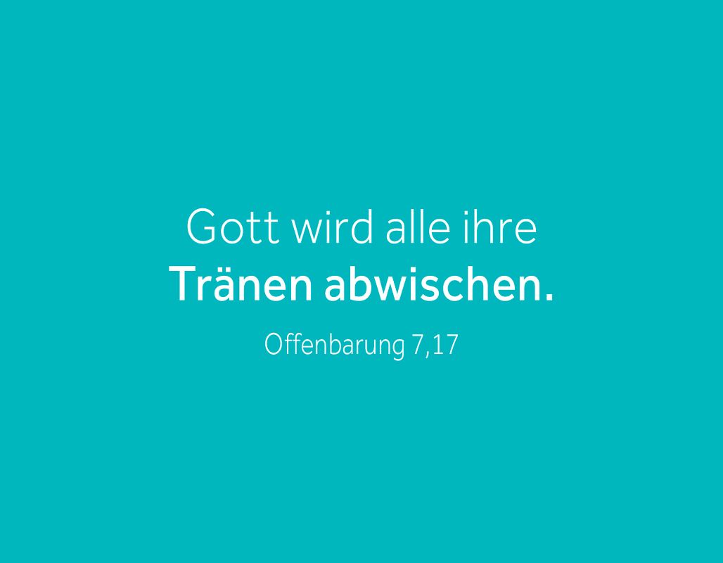 Karten-Box - Mein Gott kann.