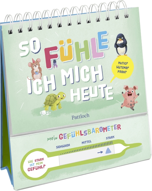 Aufstellbuch - So fühle ich mich heute
