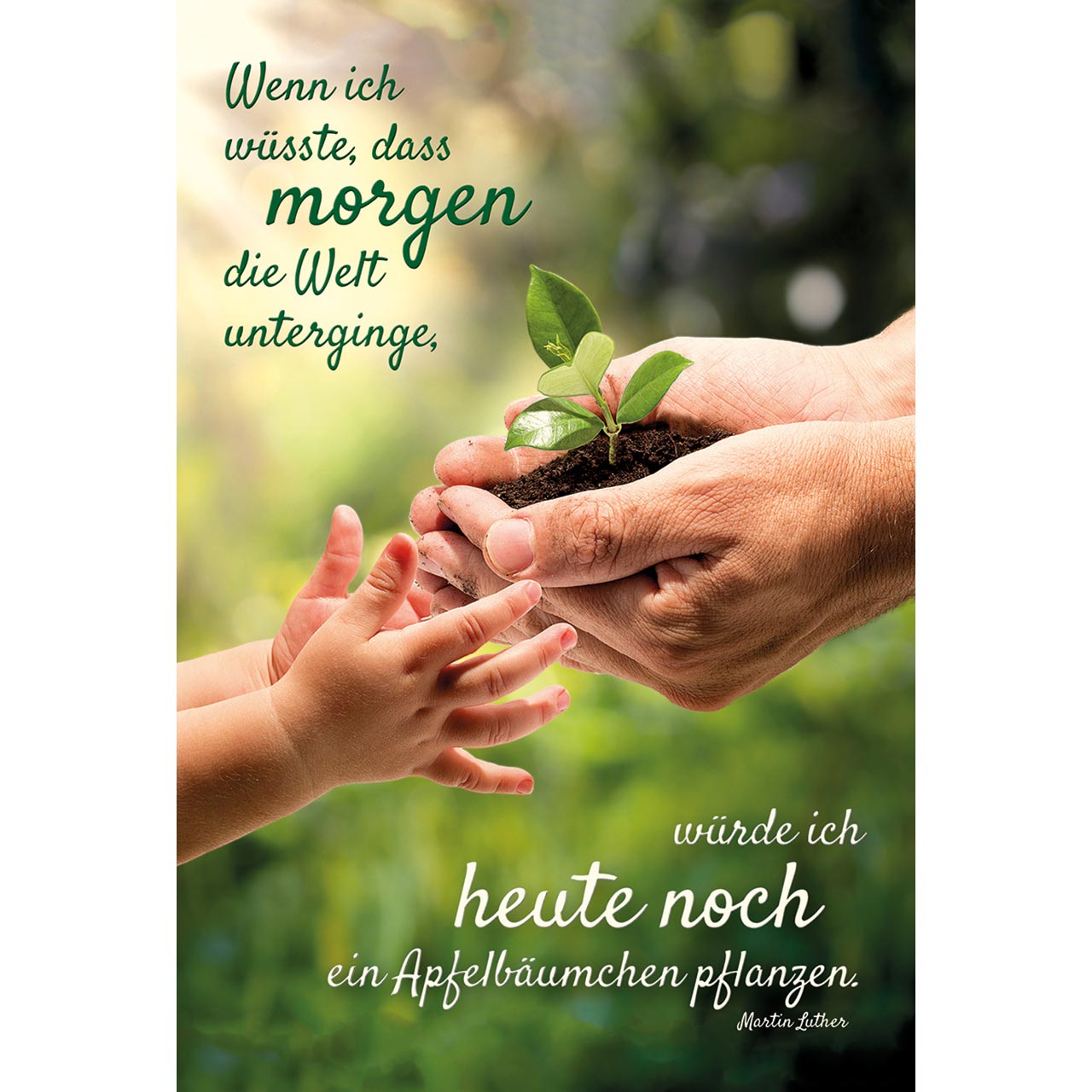 Wenn ich wüsste