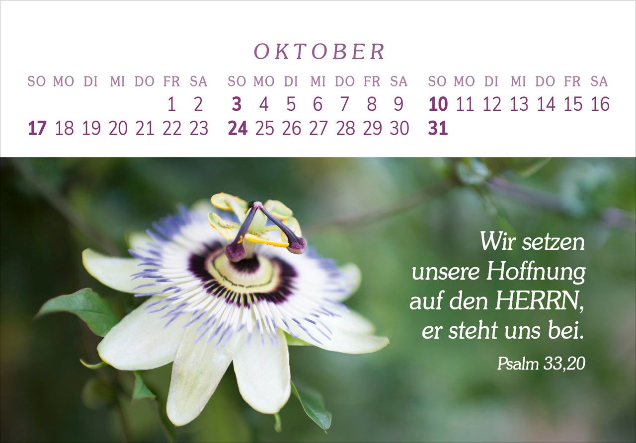 Panoramakalender - Das Geschenk der Freude 2027