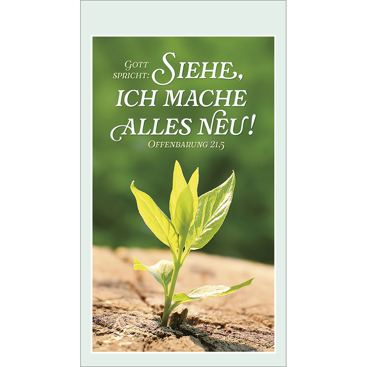 Tischkalender - Sonne des Lebens 2026