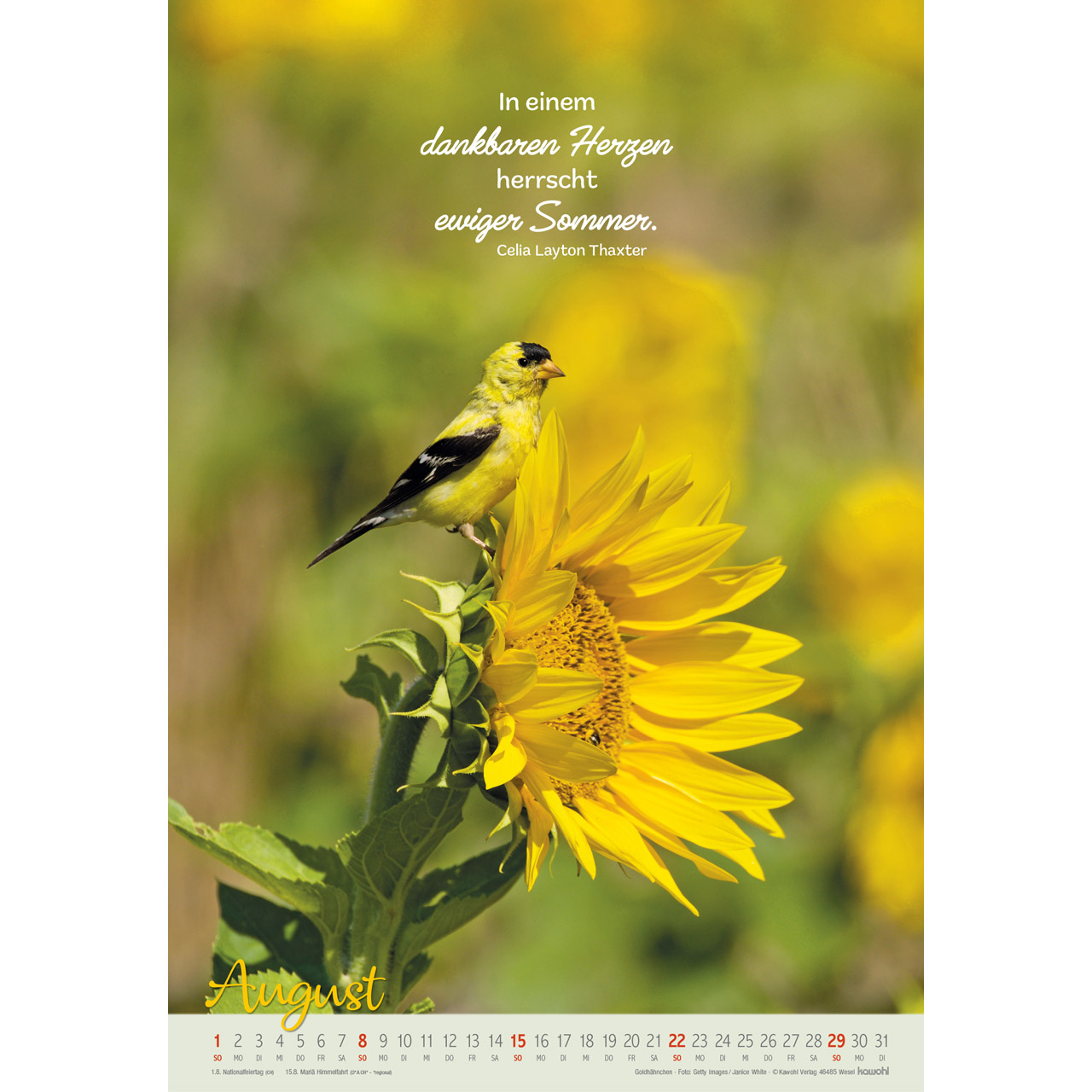 Wandkalender - Beflügelt und getragen 2027
