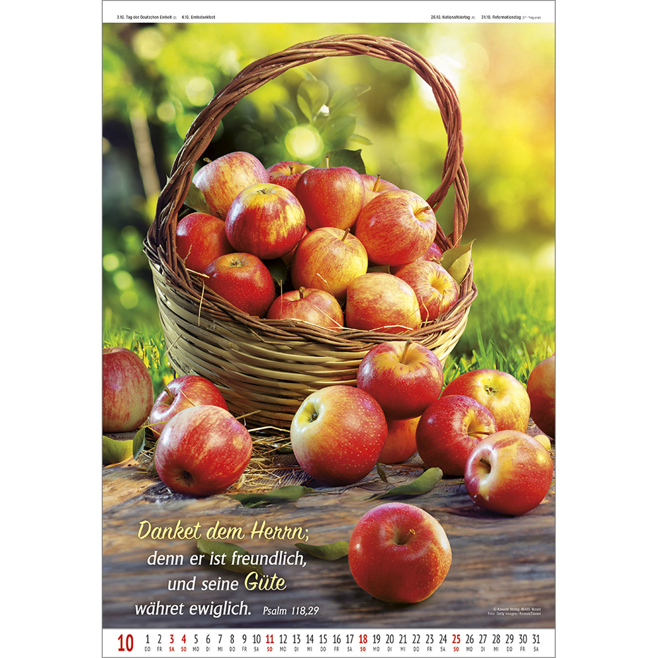 Wandkalender - Gottes Wort - Licht auf dem Weg 2026