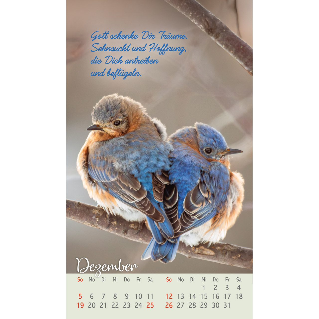 Postkartenkalender - Beflügelt und geborgen 2027
