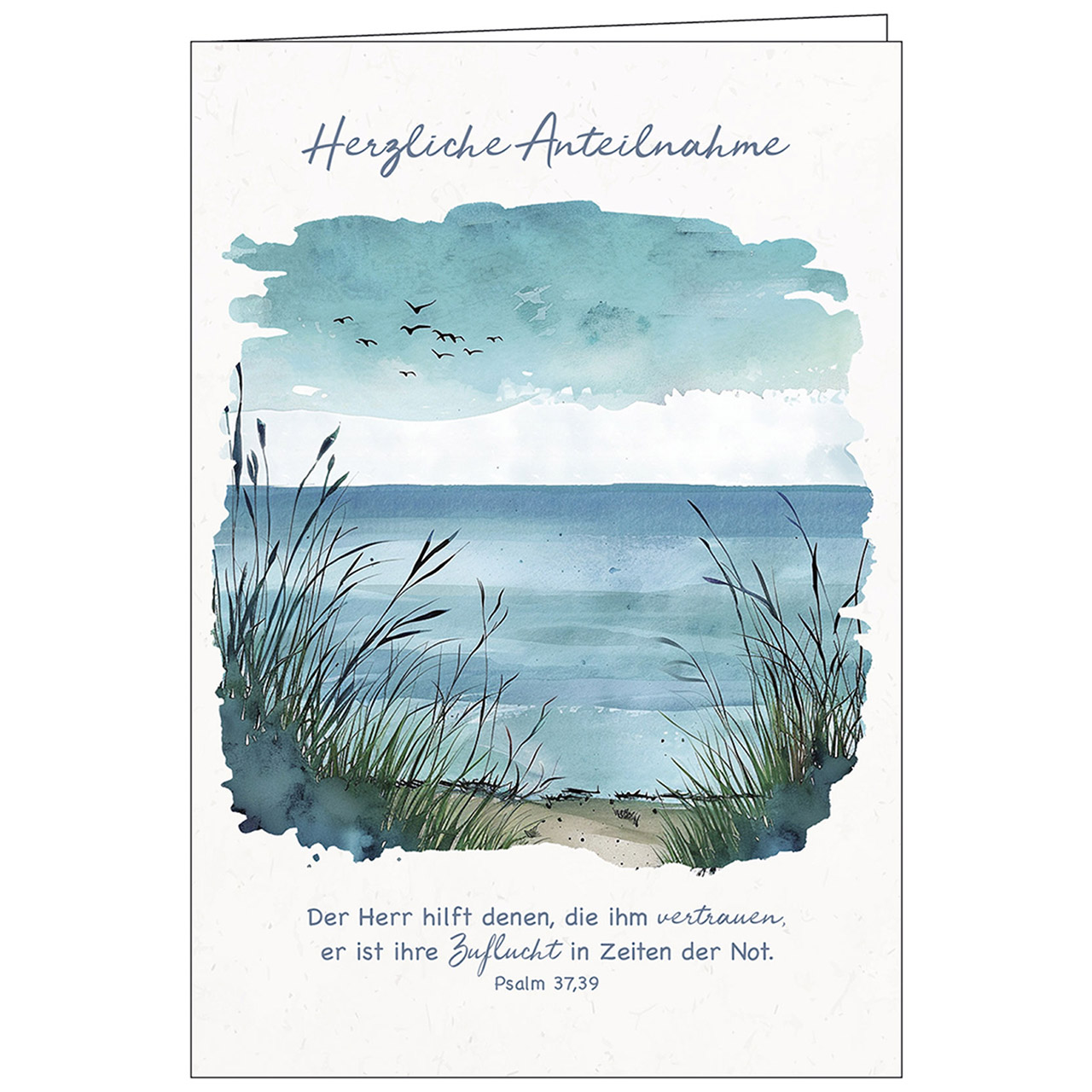 Herzliche Anteilnahme Faltkarte - Herzliche Anteilnahme - Aquarell Gras Meer Strand Vögel Wolken Sand Wasser