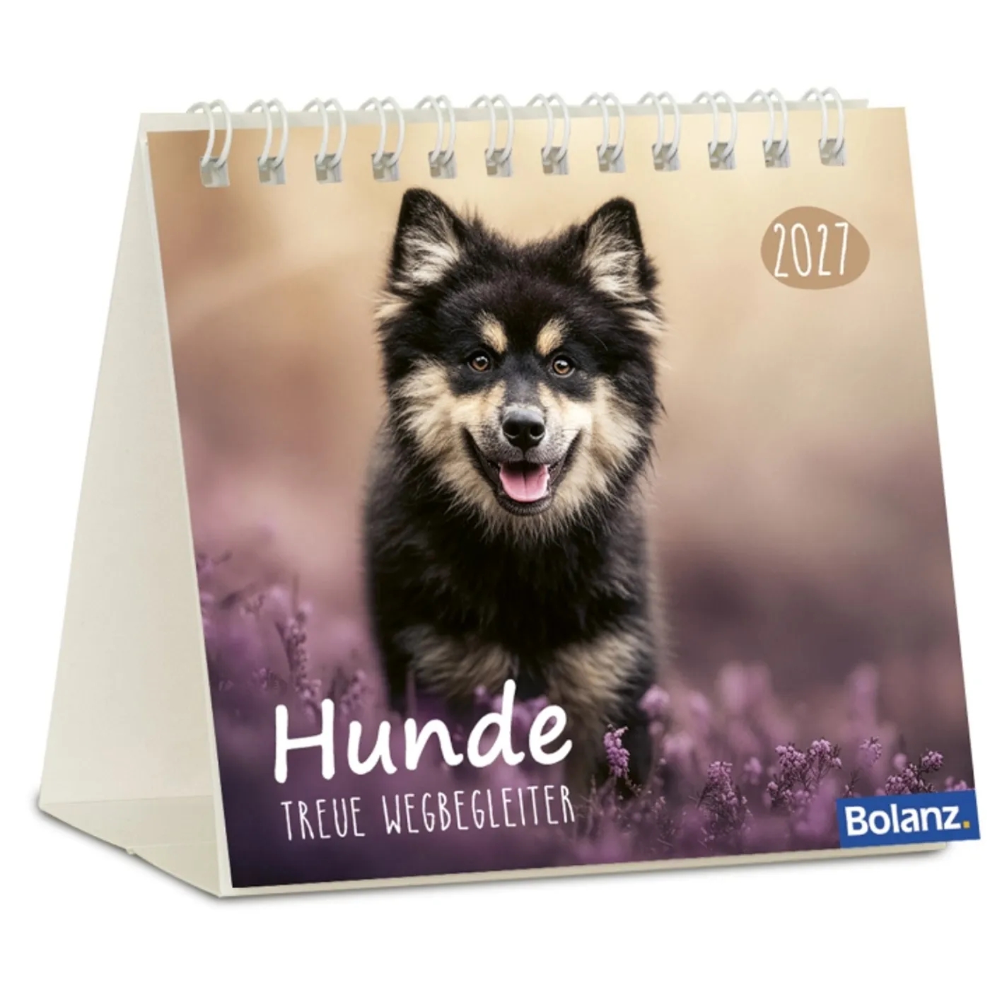 Aufstellkalender - Hunde 2027