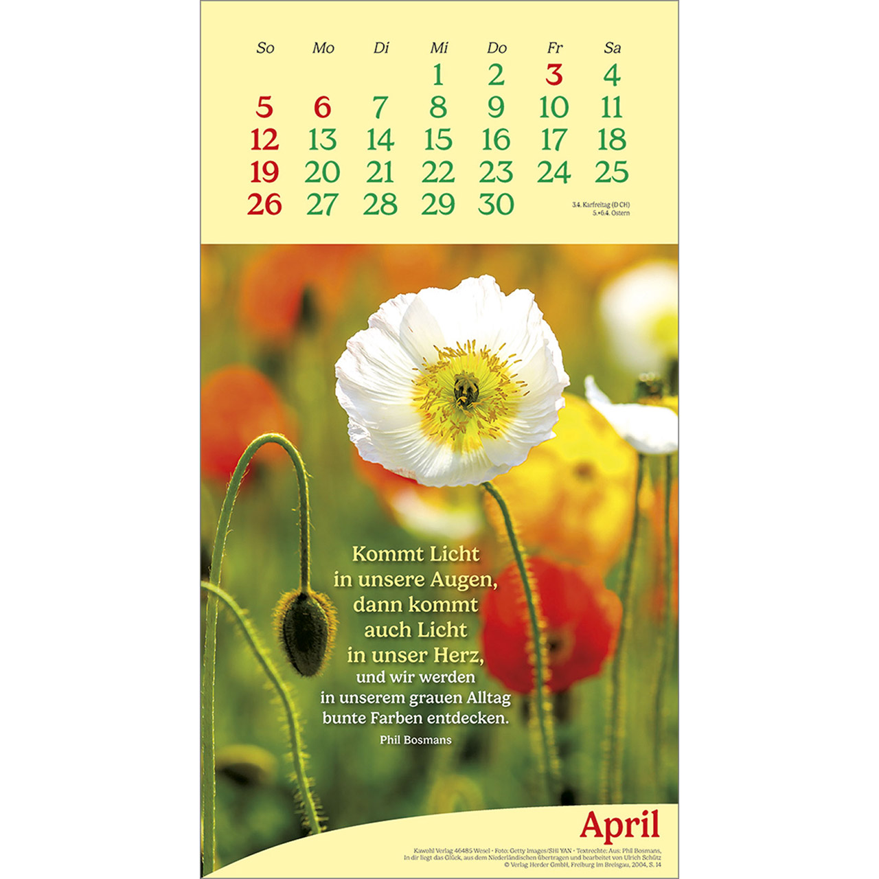 Wandkalender - Vitamine fürs Herz 2026