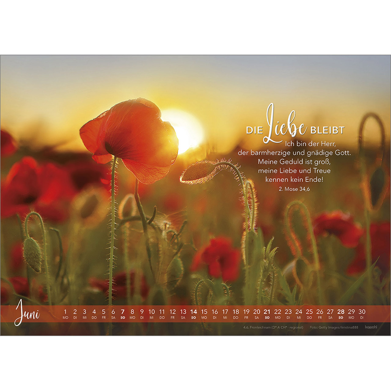 Wandkalender - Die Liebe bleibt 2026