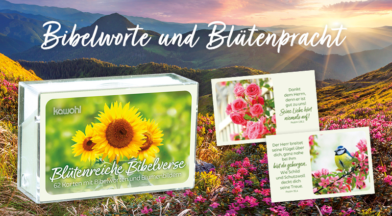 Karten-Box mit Blumenmotiv, vor Bergwiese.