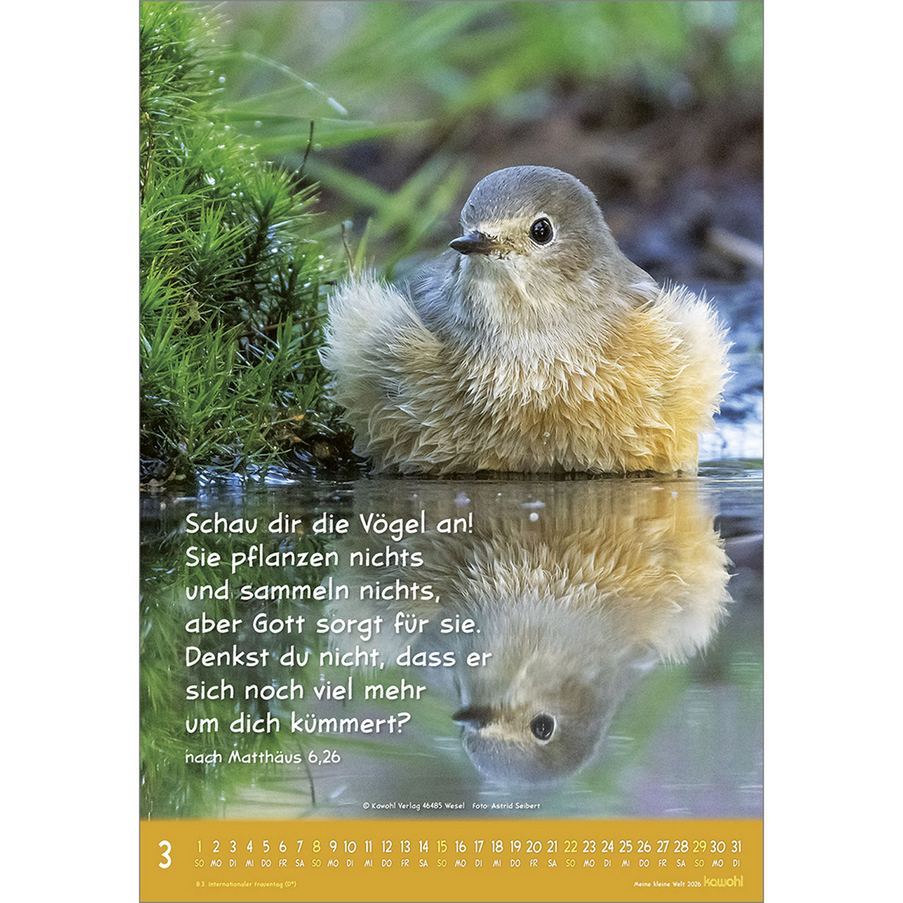 Wandkalender - Meine kleine Welt 2026