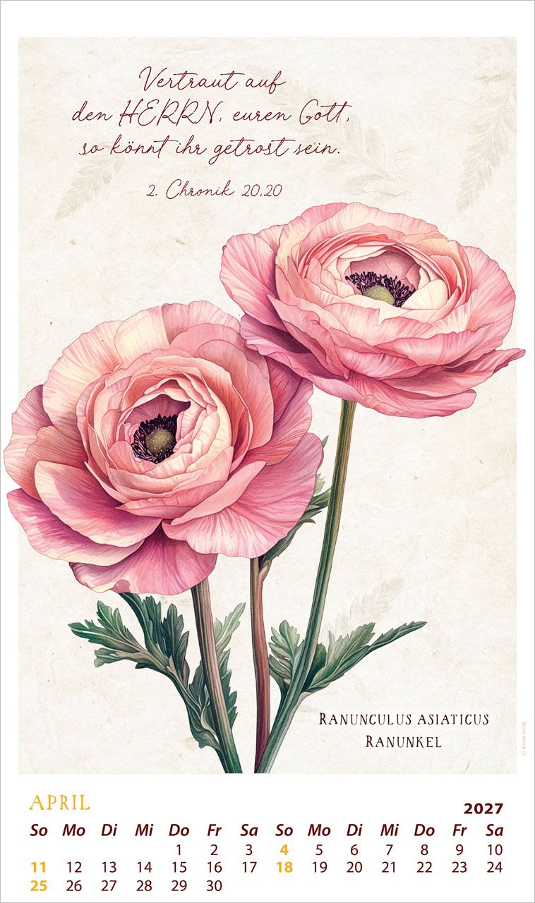 Posterkalender - Schmuckstücke des Schöpfers 2027 Posterkalender